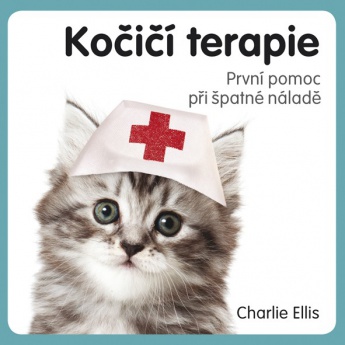 Kočičí terapie - První pomoc při špatné náladě