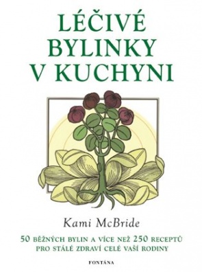 Léčivé bylinky v kuchyni