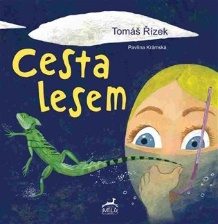 Cesta lesem